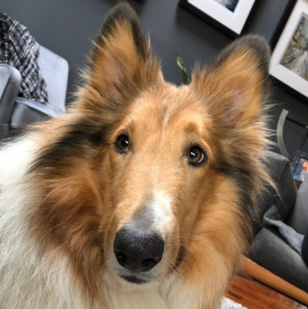 Meet your Posher, Kendal